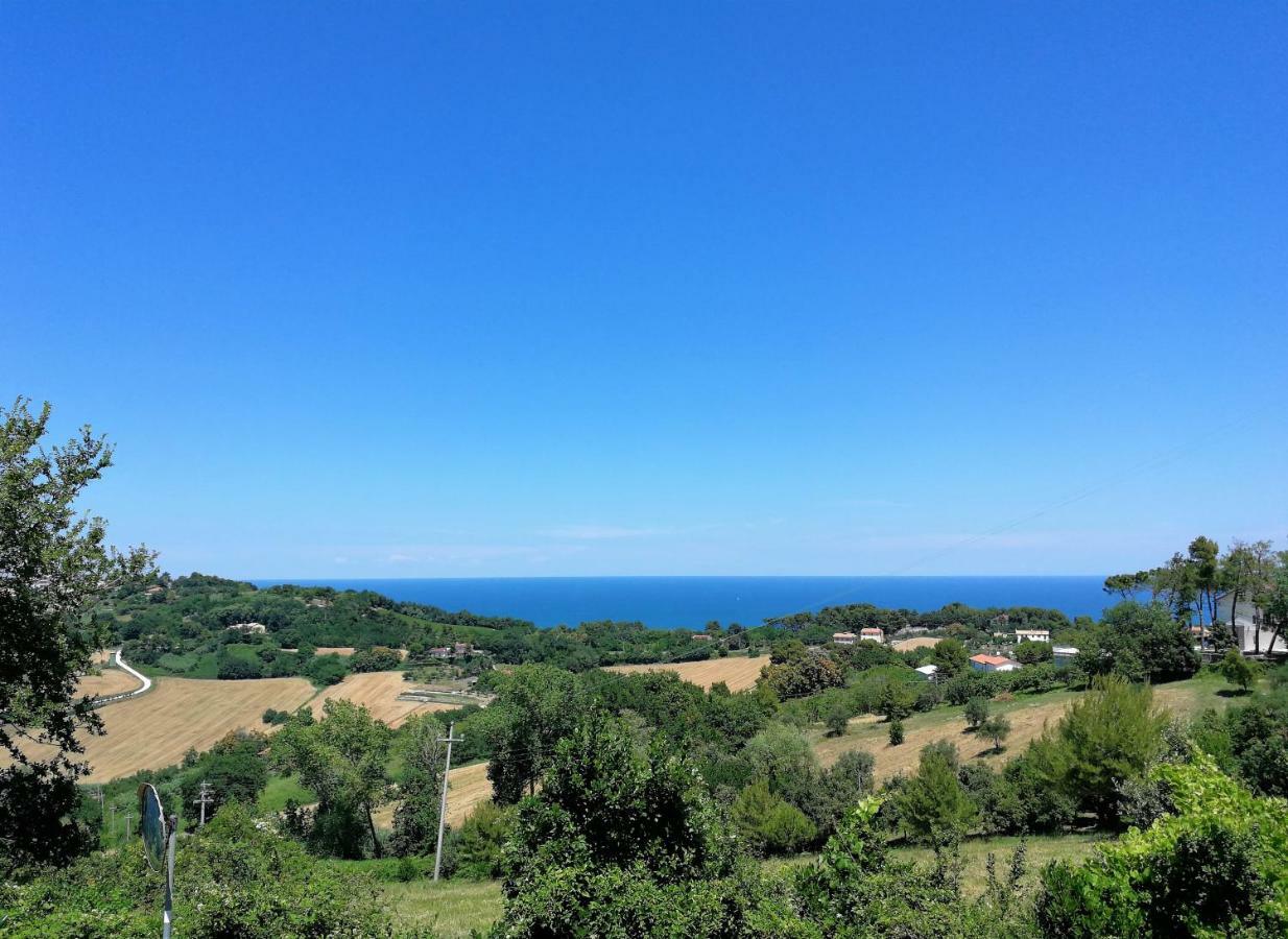 Gli Ulivi Del Conero